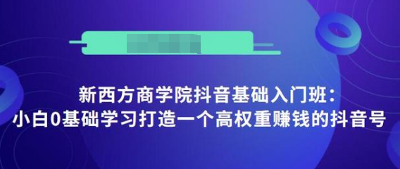 抖音基础入门班：小白0基础学习打造一个高权重赚钱的抖音号-云帆项目库