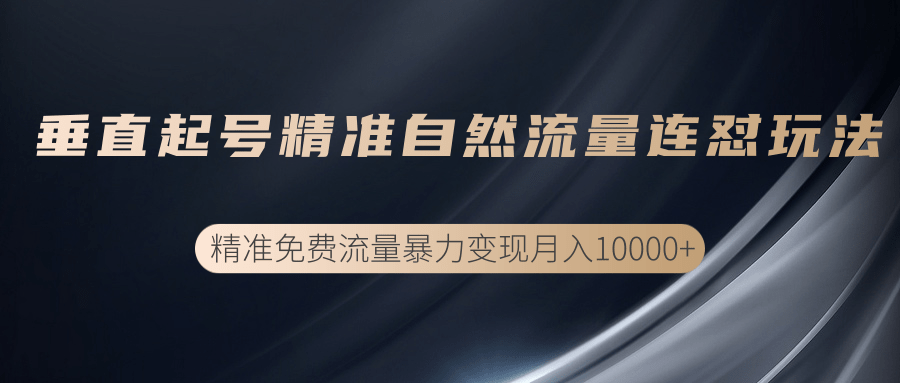 垂直起号精准自然流量连爆玩法，精准引流暴力变现月入10000+-云帆项目库