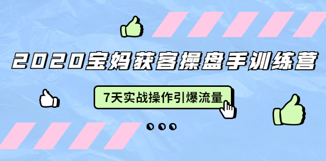 2020宝妈获客操盘手训练营：7天实战操作引爆 母婴、都市、购物宝妈流量-云帆项目库