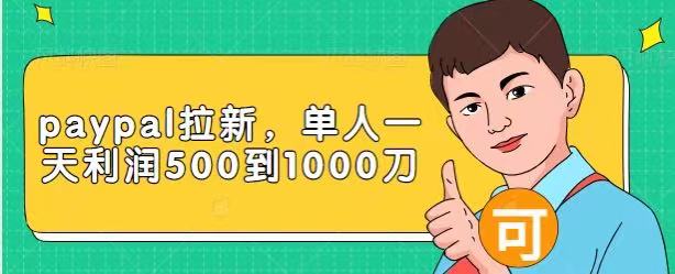 Paypal拉新赚美刀项目，单人一天利润500-1000刀【视频课程】-云帆项目库