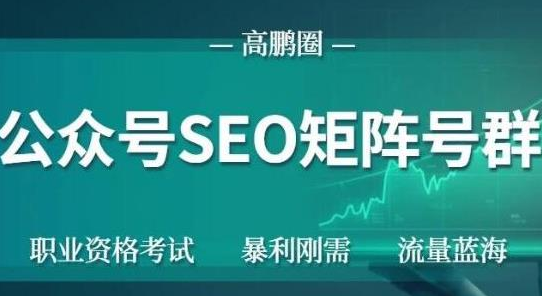 高鹏圈公众号SEO矩阵号群，实操20天纯收益25000+，普通人都能做-云帆项目库