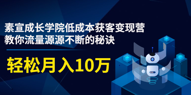 素宣成长学院低成本获客变现营，教你流量源源不断的秘诀，轻松月入10万-云帆项目库