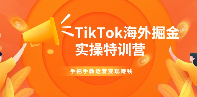 TikTok海外掘金实操特训营：手把手教运营变现赚钱-云帆项目库