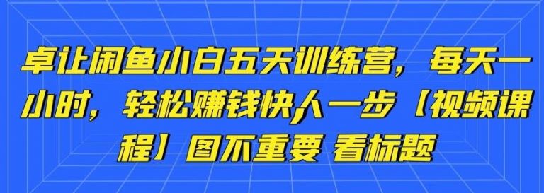 卓让闲鱼小白五天训练营，每天一小时，轻松赚钱快人一步-云帆项目库