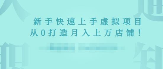 2022年虚拟项目实战指南，新手从0打造月入上万店铺-云帆项目库