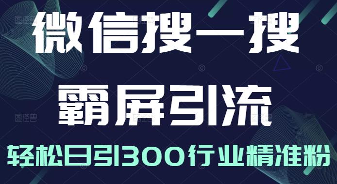 微信搜一搜霸屏引流课，打造被动精准引流系统，轻松日引300行业精准粉-云帆项目库