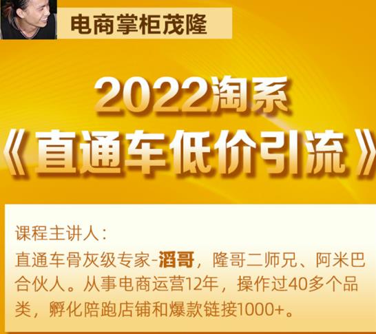 茂隆2022直通车低价引流玩法，教大家如何低投入高回报的直通车玩法-云帆项目库