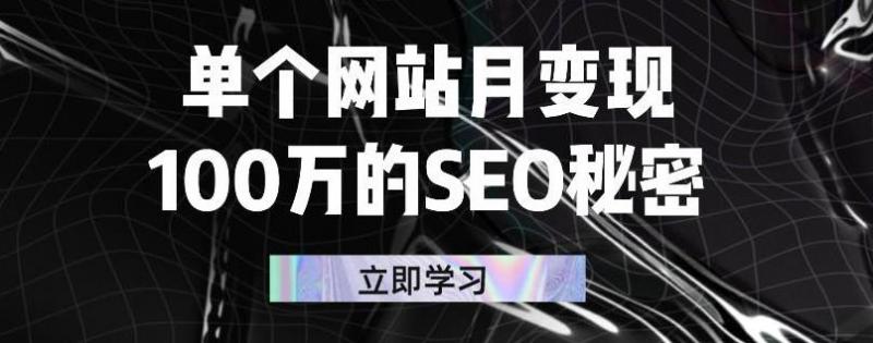 单个网站月变现100万的SEO秘密，百分百做出赚钱站点-云帆项目库