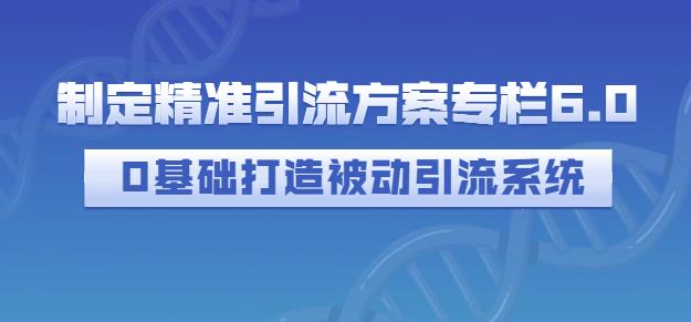 制定精准引流方案专栏6.0，0基础打造被动引流系统-云帆项目库