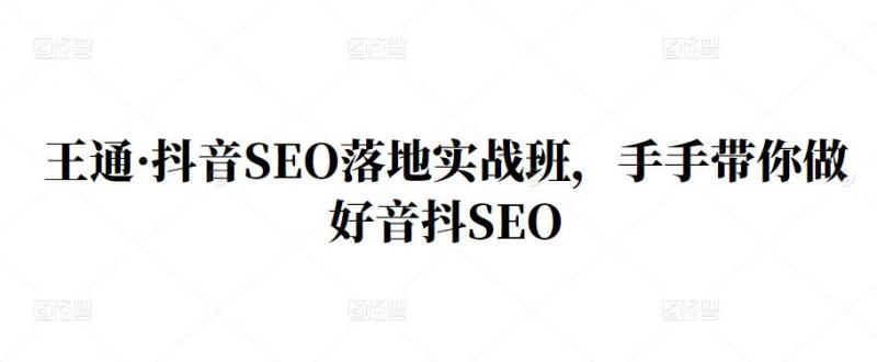 王通·抖音SEO落地实战班，手‬手带你做好音抖‬‬SEO-云帆项目库