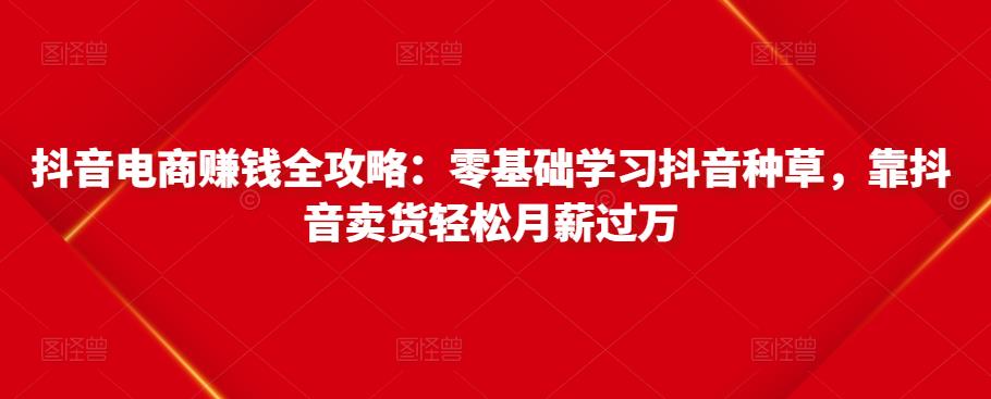 抖音电商赚钱全攻略：零基础学习抖音种草，靠抖音卖货轻松月薪过万-云帆项目库