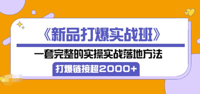 凌童《新品打爆实战班》,一套完整的实操实战落地方法，打爆链接超2000+（28节课)-云帆项目库