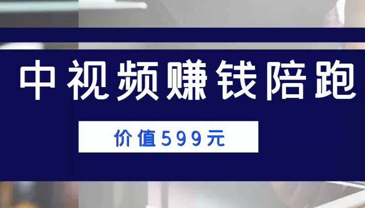 中视频赚钱陪跑，卖中视频账户赚钱收益陪跑项目（价值599元）-云帆项目库