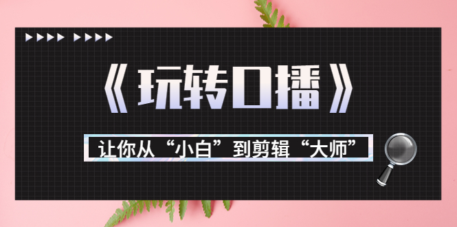 月营业额700万+大佬教您《玩转口播》让你从“小白”到剪辑“大师”-云帆项目库