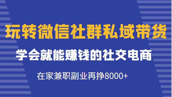 玩转微信社群私域带货，学会就能赚钱的社交电商，在家兼职副业再挣8000+-云帆项目库