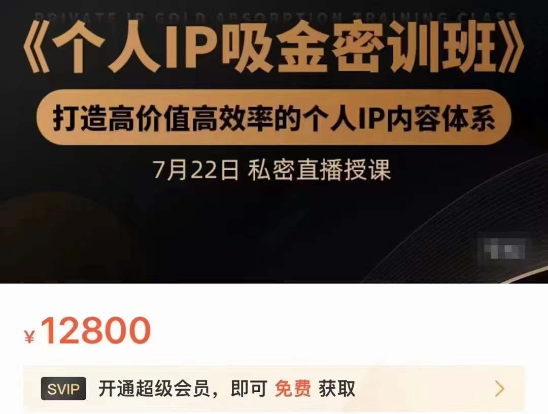 个人IP吸金密训班，打造高价值高效率的个人IP内容体系（价值12800元）-云帆项目库