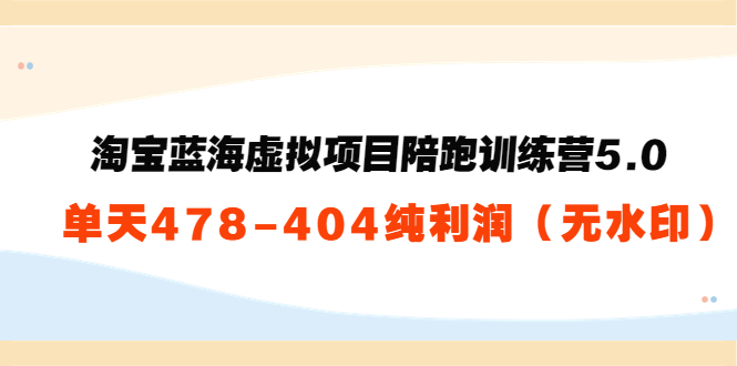 淘宝蓝海虚拟项目陪跑训练营5.0：单天478纯利润-云帆项目库