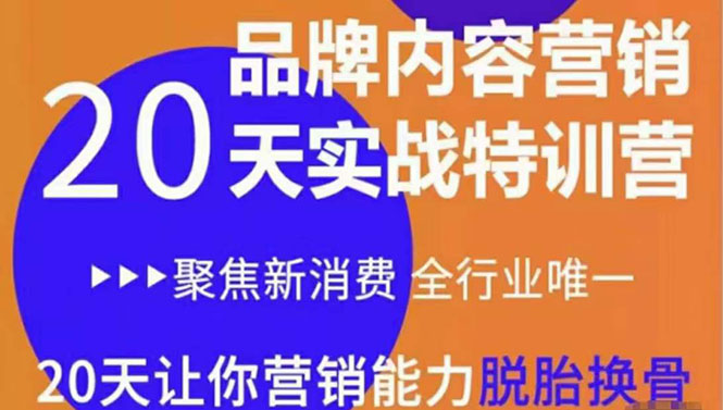 《内容营销实操特训营》20天让你营销能力脱胎换骨（价值3999）-云帆项目库