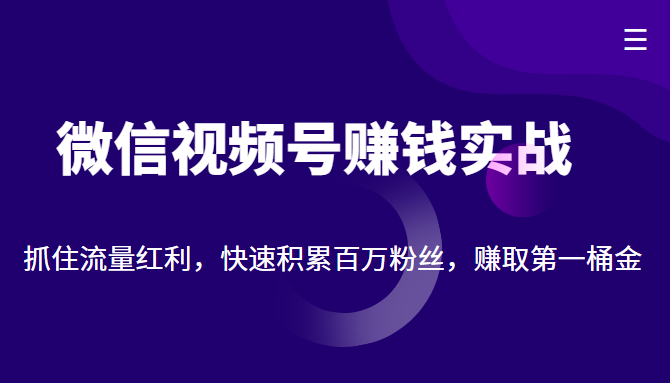 微信视频号赚钱实战：抓住流量红利，快速积累百万粉丝，赚取你的第一桶金-云帆项目库