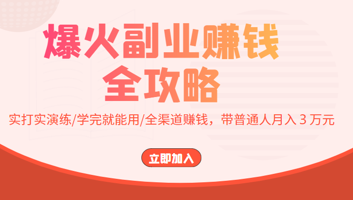 爆火副业赚钱全攻略：实打实演练/学完就能用/全渠道赚钱，带普通人月入３万元-云帆项目库