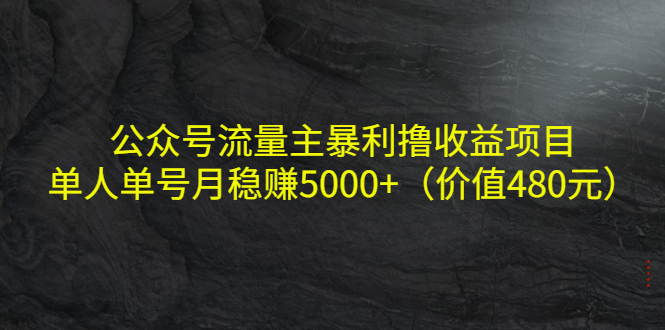 公众号流量主暴利撸收益项目，单人单号月稳赚5000+（价值480元）-云帆项目库