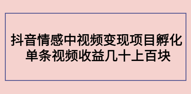 副业孵化营第5期：抖音情感中视频变现项目孵化 单条视频收益几十上百-云帆项目库