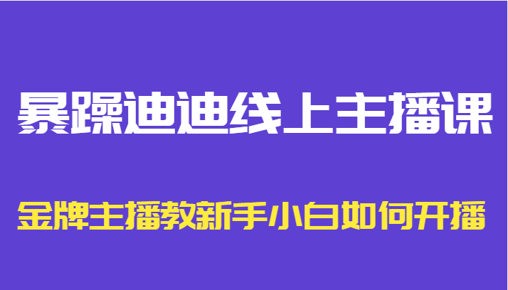 暴躁迪迪线上主播课，金牌主播教新手小白如何开播-云帆项目库