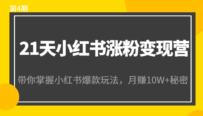 21天小红书涨粉变现营（第4期）：带你掌握小红书爆款玩法，月赚10W+秘密-云帆项目库