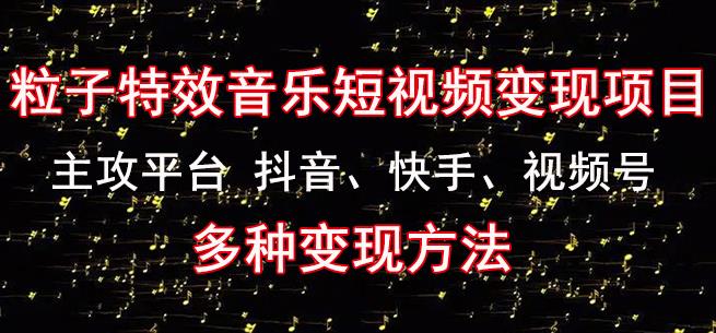 黄岛主《粒子特效音乐短视频变现项目》主攻平台抖音、快手、视频号多种变现方法-云帆项目库