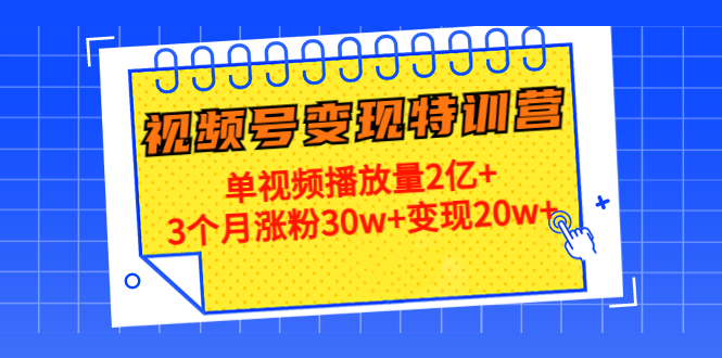 21天视频号变现特训营：单视频播放量2亿+3个月涨粉30w+变现20w+（第14期）-云帆项目库