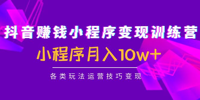 抖音赚钱小程序变现训练营：小程序月入10w+各类玩法运营技巧变现-云帆项目库