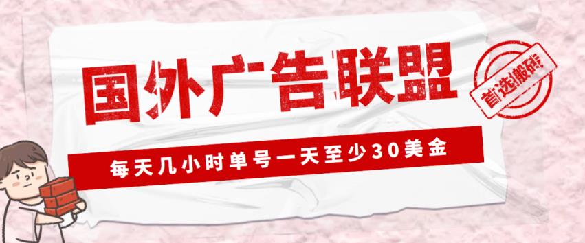 外面收费1980的最新国外LEAD广告联盟搬砖项目，单号一天至少30美金【详细玩法教程】-云帆项目库