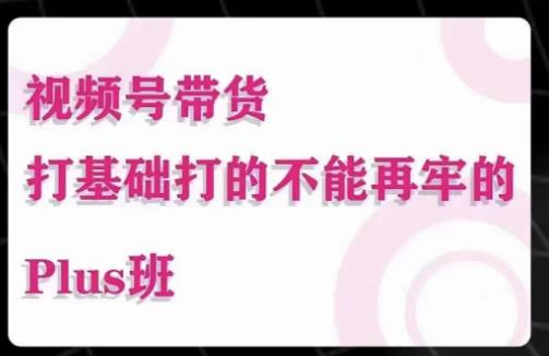 大播汇·视频号带货Puls班，视频号底层逻辑，起号自然流鱼塘等玩法-云帆项目库