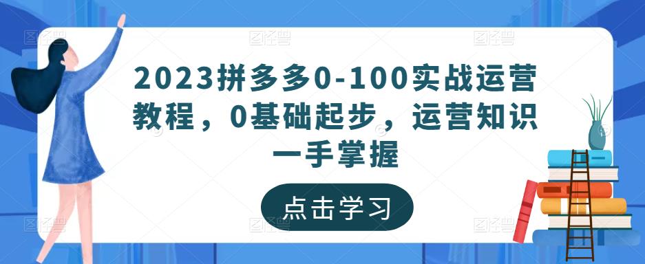 2023拼多多0-100实战运营教程，0基础起步，运营知识一手掌握-云帆项目库