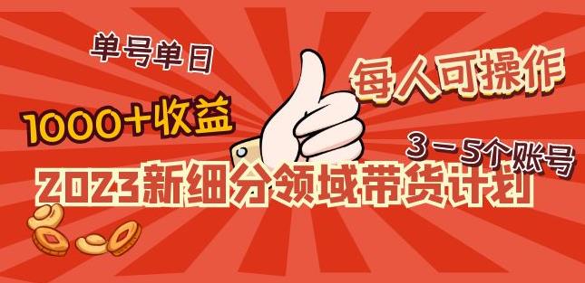 2023新细分领域带货计划：单号单日1000+收益不难，每人可操作3-5个账号-云帆项目库