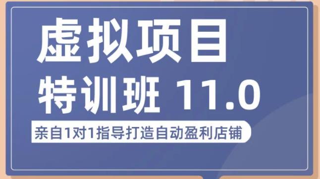 陆明明·虚拟项目特训班（10.0+11.0），0成本获取虚拟素材，0基础打造自动盈利店铺-云帆项目库