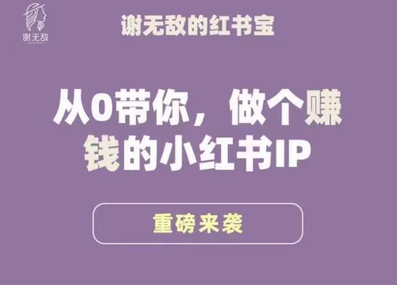 谢无敌·小红书运营大宝典，从0带你做个赚钱的小红书IP-云帆项目库