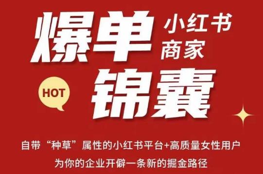 无畏·小红书商家爆单锦囊，掌握小红书各大规则，快速精准抢占行业和市场-云帆项目库