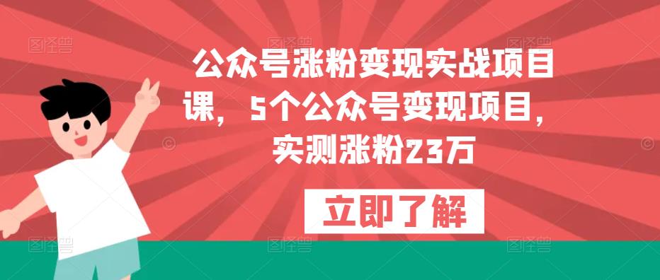 公众号涨粉变现实战项目课，5个公众号变现项目，实测涨粉23万-云帆项目库