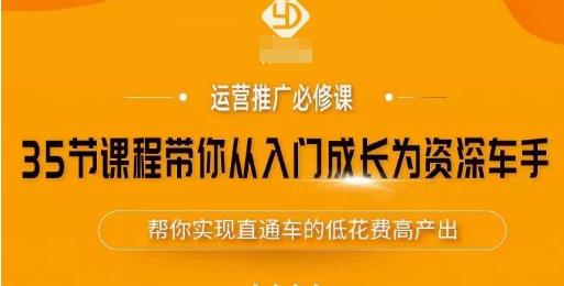 35节课程带你从入门成长为资深车手，让系统学习直通车成为可能，帮你实现直通车的低花费高产出-云帆项目库