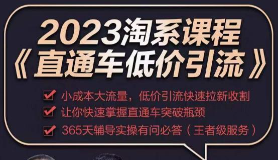 2023直通车低价引流玩法课程，小成本大流量，低价引流快速拉新收割，让你快速掌握直通车突破瓶颈-云帆项目库