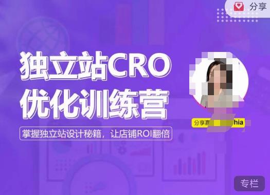 独立站CRO优化训练营，掌握独立站设计秘籍，打造高转化的独立站，让店铺ROI翻倍-云帆项目库