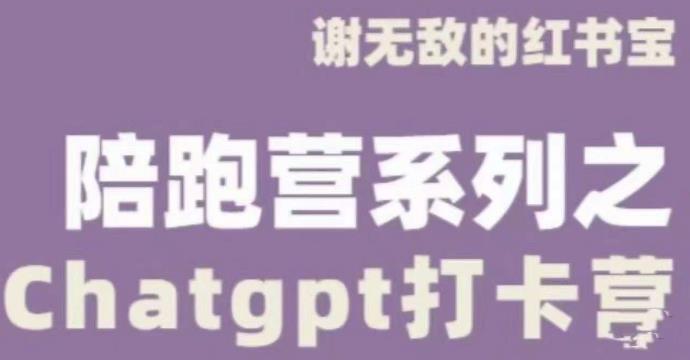 谢无敌ChatGPT打卡营，教你更好地使用ChatGPT来提高工作效率-云帆项目库