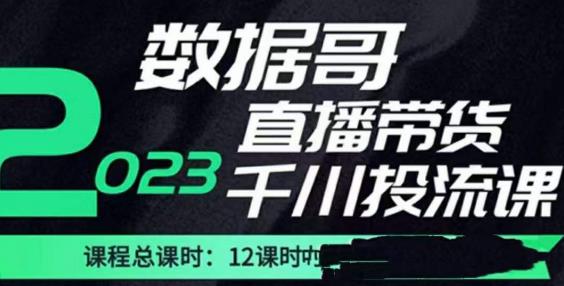 数据哥2023直播电商巨量千川付费投流实操课，快速掌握直播带货运营投放策略-云帆项目库