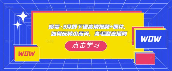 哈哥·3月线下实操课高清视频+课件，如何玩转小而美，高毛利直播间-云帆项目库