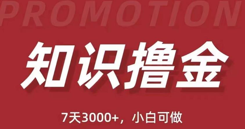 抖音知识撸金项目：简单粗暴日入1000+执行力强当天见收益(教程+资料)-云帆项目库