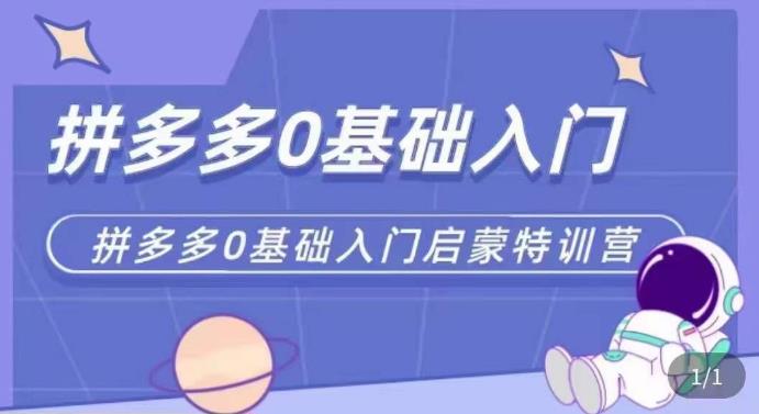 拼多多运营0-1实操特训营，拼多多0基础入门，从基础到进阶的可实操玩法-云帆项目库