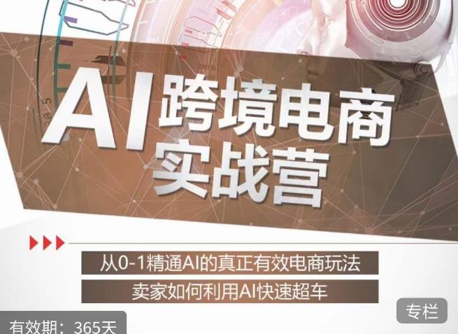 白龙老师·AI跨境电商实战营：从0-1精通Al的真正有效电商玩法，卖家如何利用Al快速超车-云帆项目库