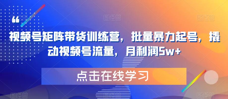 视频号矩阵带货训练营，批量暴力起号，撬动视频号流量，月利润5w+-云帆项目库