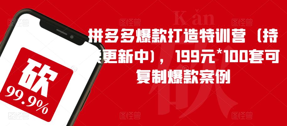 拼多多爆款打造特训营（持续更新中)，199元*100套可复制爆款案例-云帆项目库